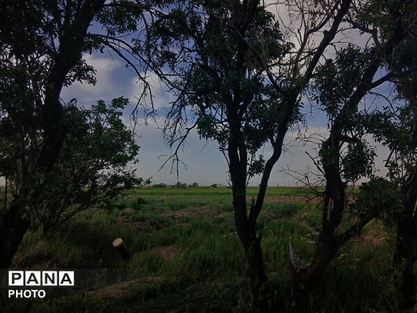 طبیعت چشم نواز روستای دهنو