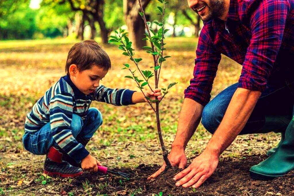 دوستی با محیط‌زیست، آموزشی مفید برای دانش‌آموزان