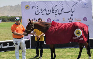 قهرمانی در جام آذرتاش؛ رقابت نزدیک و نفس‌گیر با کانون چوگان