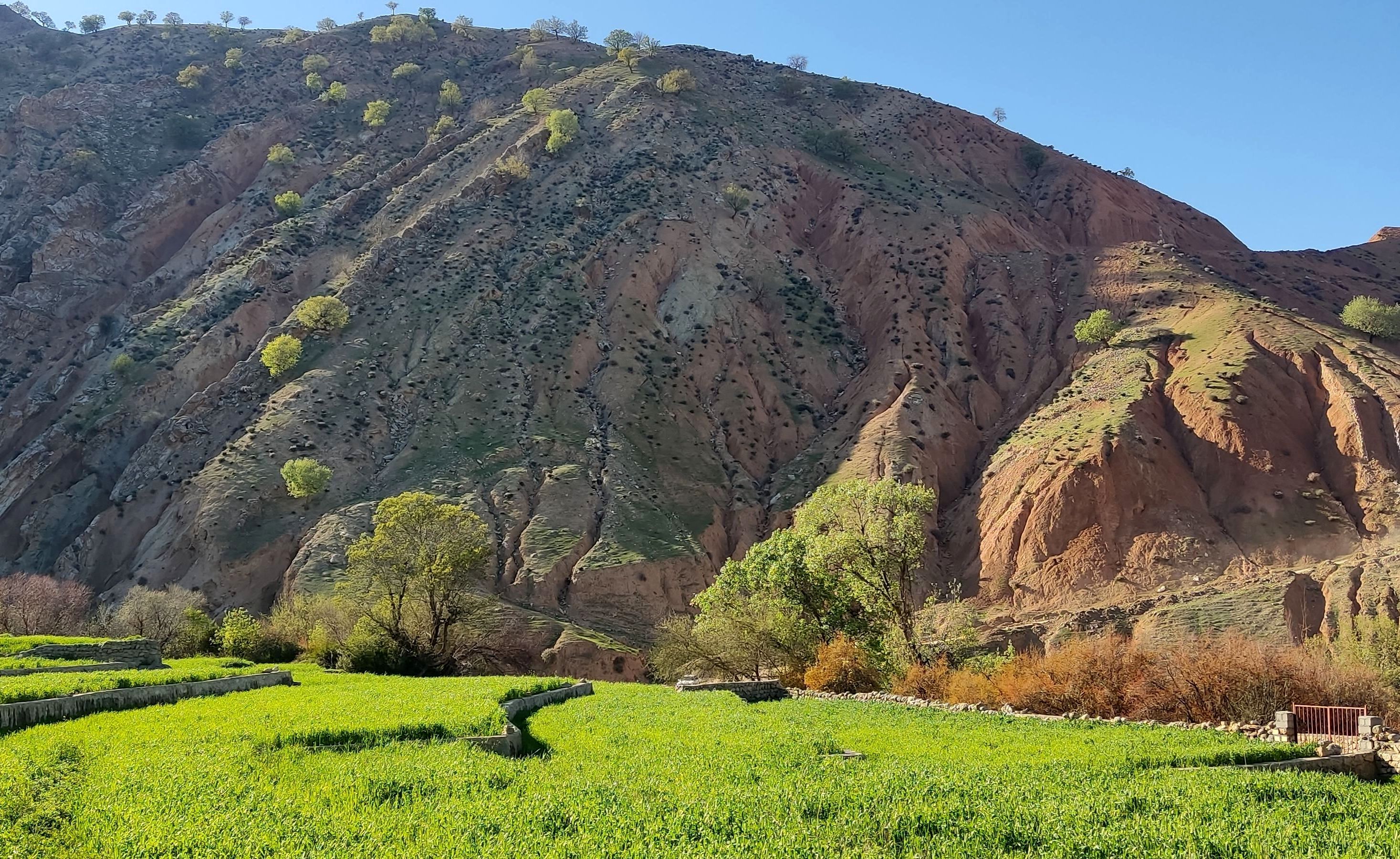 طبیعت روستای بارز، طبیعتی زیبا در دل استان چهارمحال‌وبختیاری 
