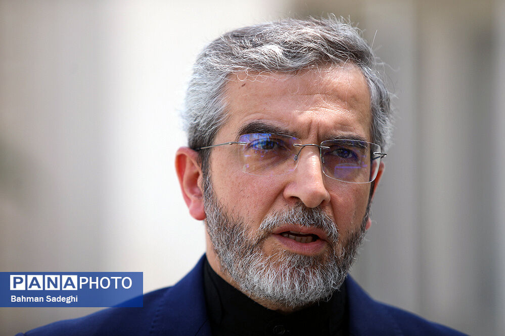 ایران مدافع اصلی امحای کامل سلاح‌های کشتار شیمیایی در جهان است