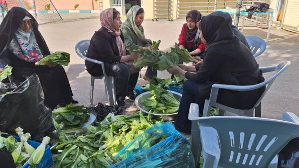 برگزاری جشنوارهٔ کاهو و سکنجبین در دبستان پسرانهٔ پاسداران یزد