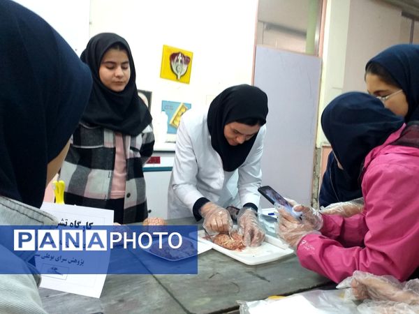 برگزاری کلاس آناتومی و تشریح مغز در پژوهش‌سرای بوعلی سینا ملارد
