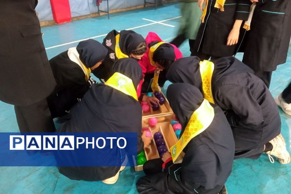 برگزاری اردو تمشک با حضور دانش‌آموزان منطقه کهریزک 