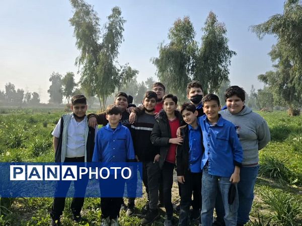 نرگسزارهای بهبهان