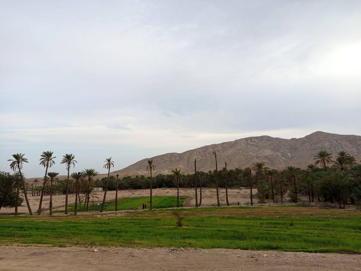 روز طبیعت در خانه‌ای کوچک و دلنشین بی‌‌بی گل و آقا جان