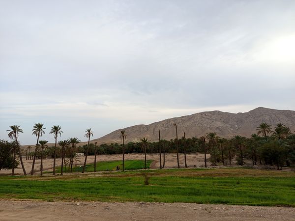 روز طبیعت در خانه‌ای کوچک و دلنشین بی‌‌بی گل و آقا جان
