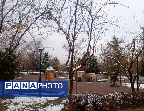 بارش برف در شهر زیبای مشهد 