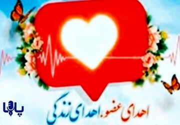 اهدای عضو، اهدای زندگی