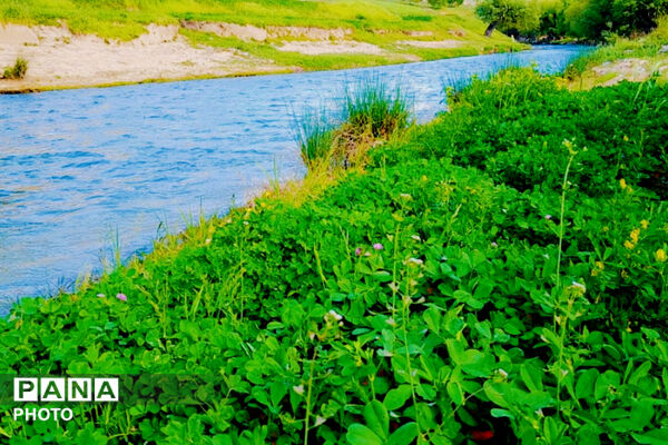  بهاریِ رنگارنگ در پل‌بریده