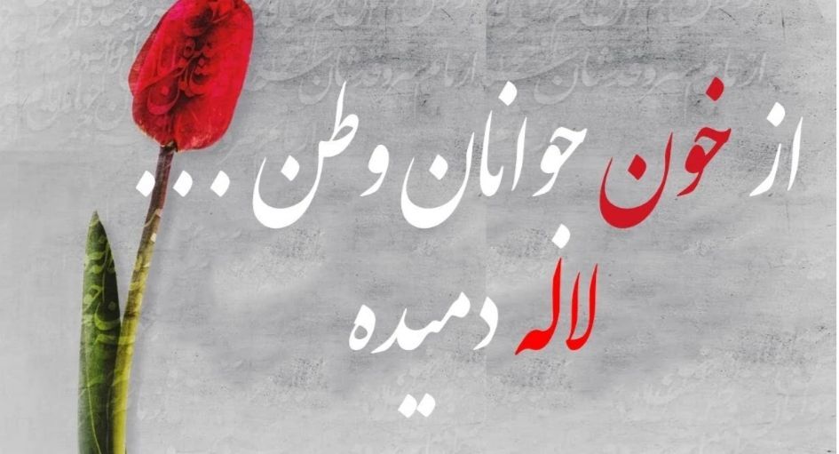 سربازان بی‌ادعا، قهرمانان ابدی 