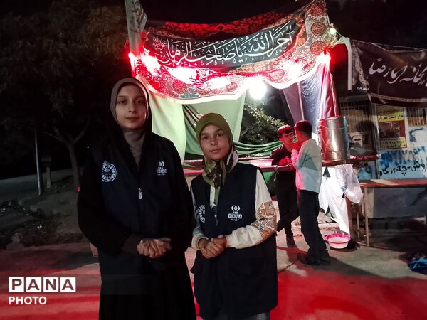 مراسم عزاداری شهادت اباعبدالله الحسین در صدوبیستمن شب از اجتماعات  