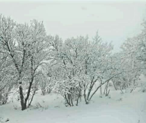 میانکوه در تسخیر برف 