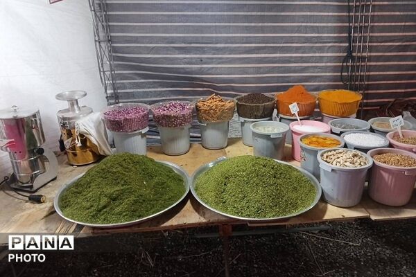 جشنواره گلاب گیری میناب با عطر شهدا 