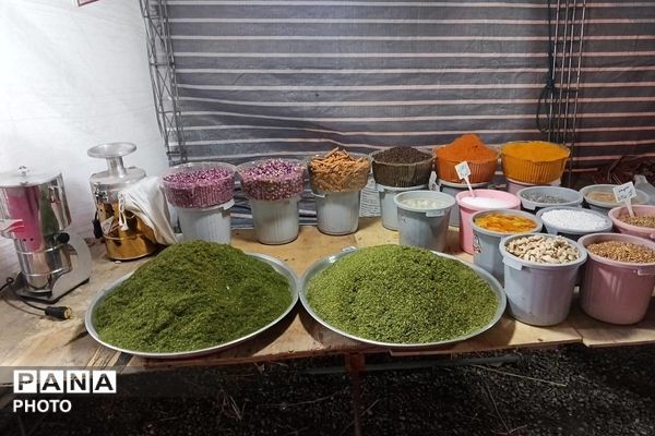 جشنواره گلاب گیری میناب با عطر شهدا 