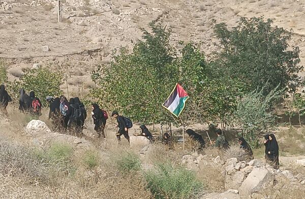 گام هایی از جنس عشق به امام رضا (ع)