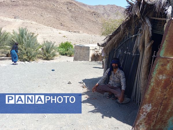 روز طبیعت در خانه‌ای کوچک و دلنشین بی‌‌بی گل و آقا جان