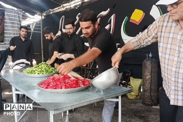استقرار موکب‌های مردمی، دانش آموزی و خدمت‌رسان ارتش به زائران اربعین