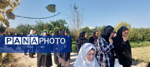 همایش پیاده‌روی در روستای کروا قائمشهر