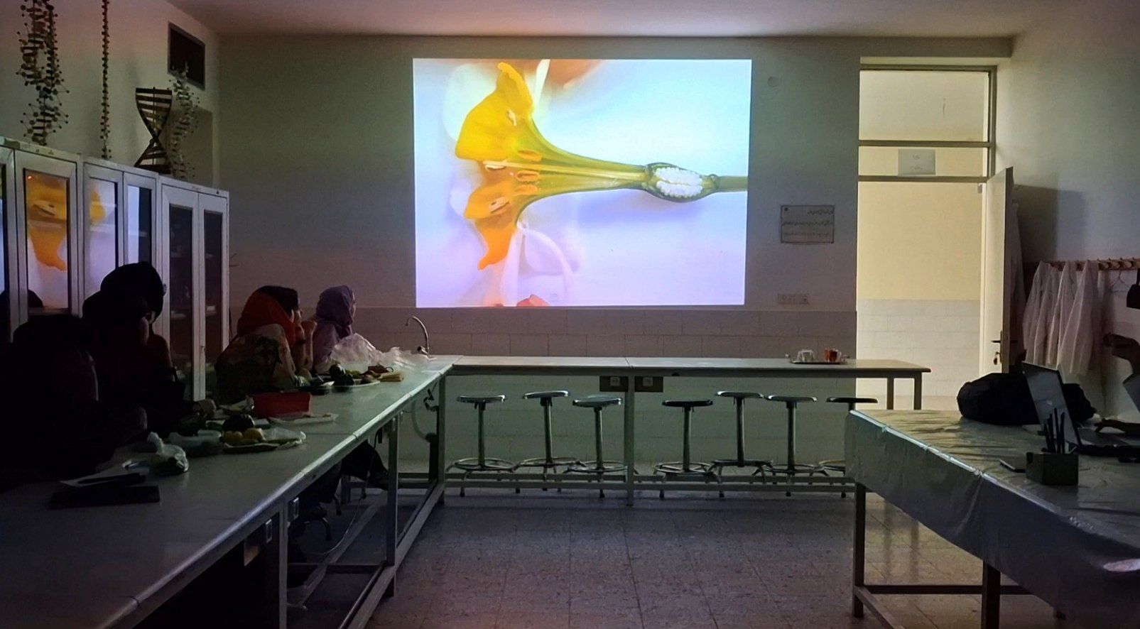وبینار «آشنایی با المپیادهای علمی» در یزد برگزار شد