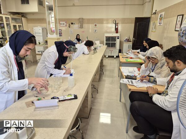 جشنواره خوارزمی؛ از ایده تا کشف