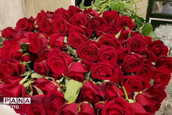 شروع تکاپوی آموزشی در دبیرستان شایستگان 