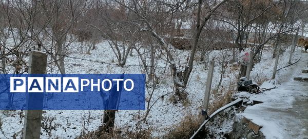 دومین بارش برف پاییزی در شهرزیبای بار نیشابور