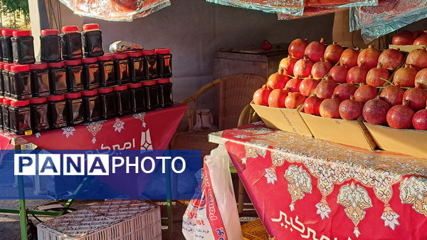 یاقوت سرخ اراک در جشنواره انار به نمایش درآمد