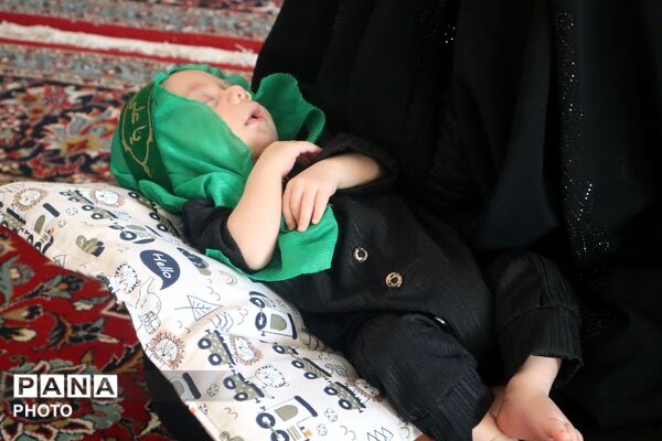 اجتماع عاشقان کوچک؛روایت شیرخوارگان حسینی