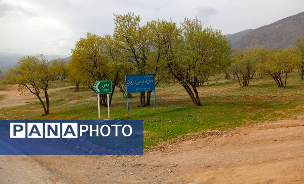 طبیعت سر سبز رفن به هنگام بهار