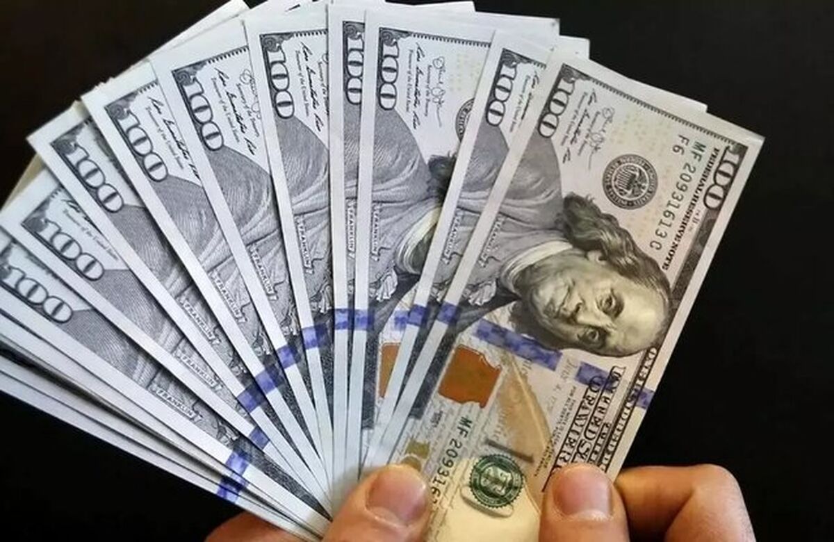 ارز چندنرخی عامل بی‌اعتمادی است
