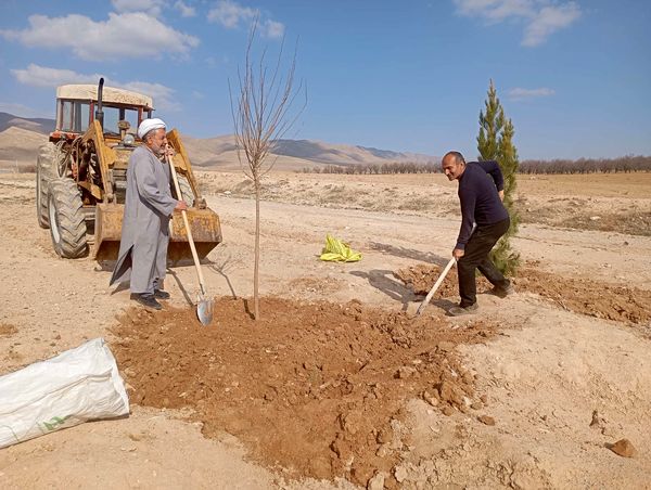 کاشت نهال در آرامستان روستای گزکوه