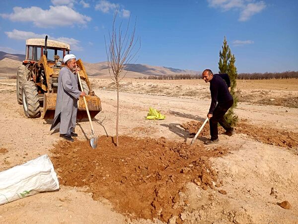 کاشت نهال در آرامستان روستای گزکوه