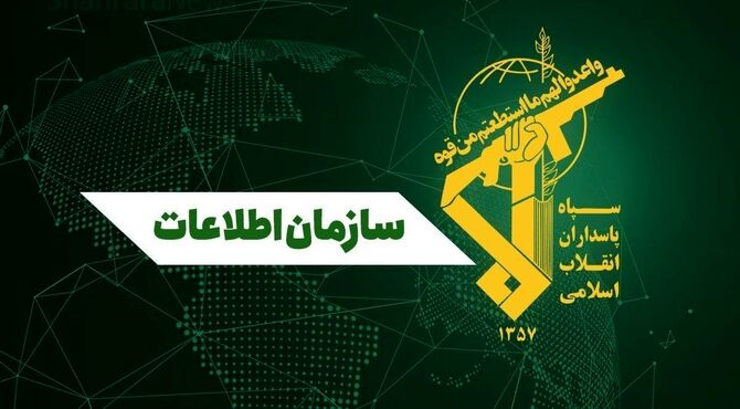  239 تروریست بازداشت شدند