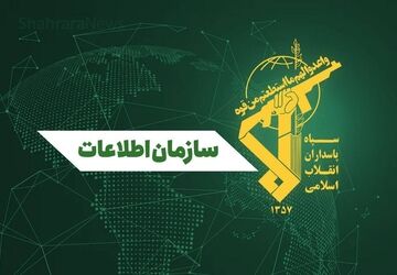  239 تروریست بازداشت شدند