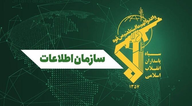  239 تروریست بازداشت شدند
