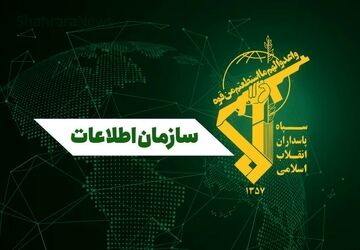 239 تروریست بازداشت شدند