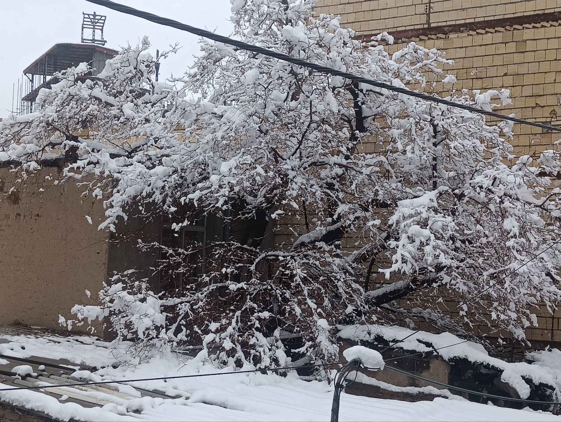 اولین برف زمستان؛ نجات زمینِ خشکیده