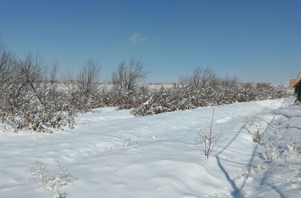 برف زمستانی مهمان دوباره‌ بروجن