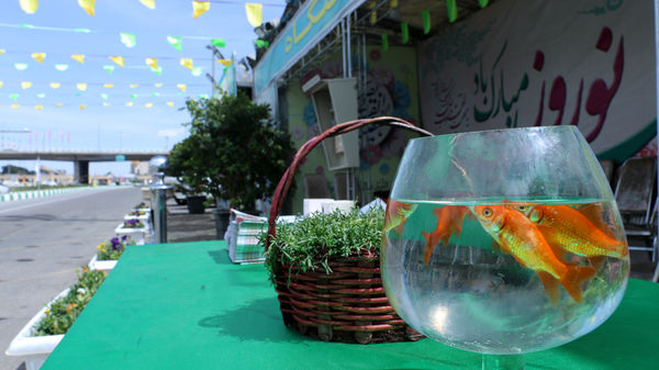 خدمات‌رسانی ستاد تسهیلات و راهنمای زائران نوروزی در قم