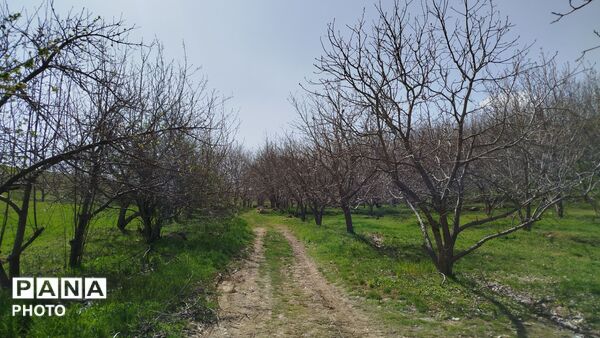 زیبایی‌های دره‌باغ؛ مجموعه‌ای از تصاویر بکر و دیدنی