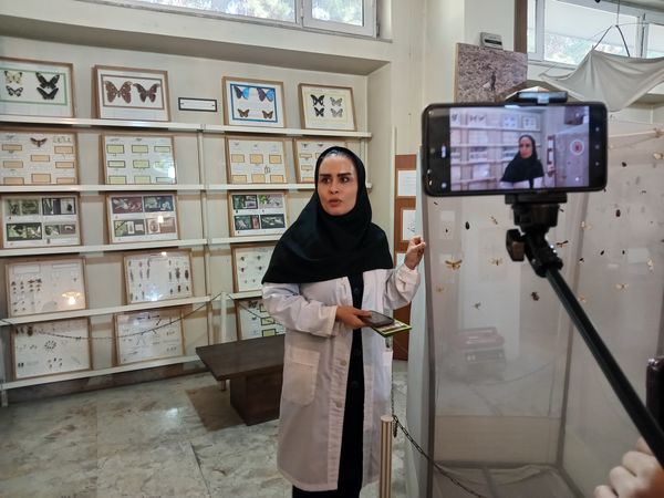 کنجکاوی پانایی ها در کشف اسرار کشاورزی و دامپروری 