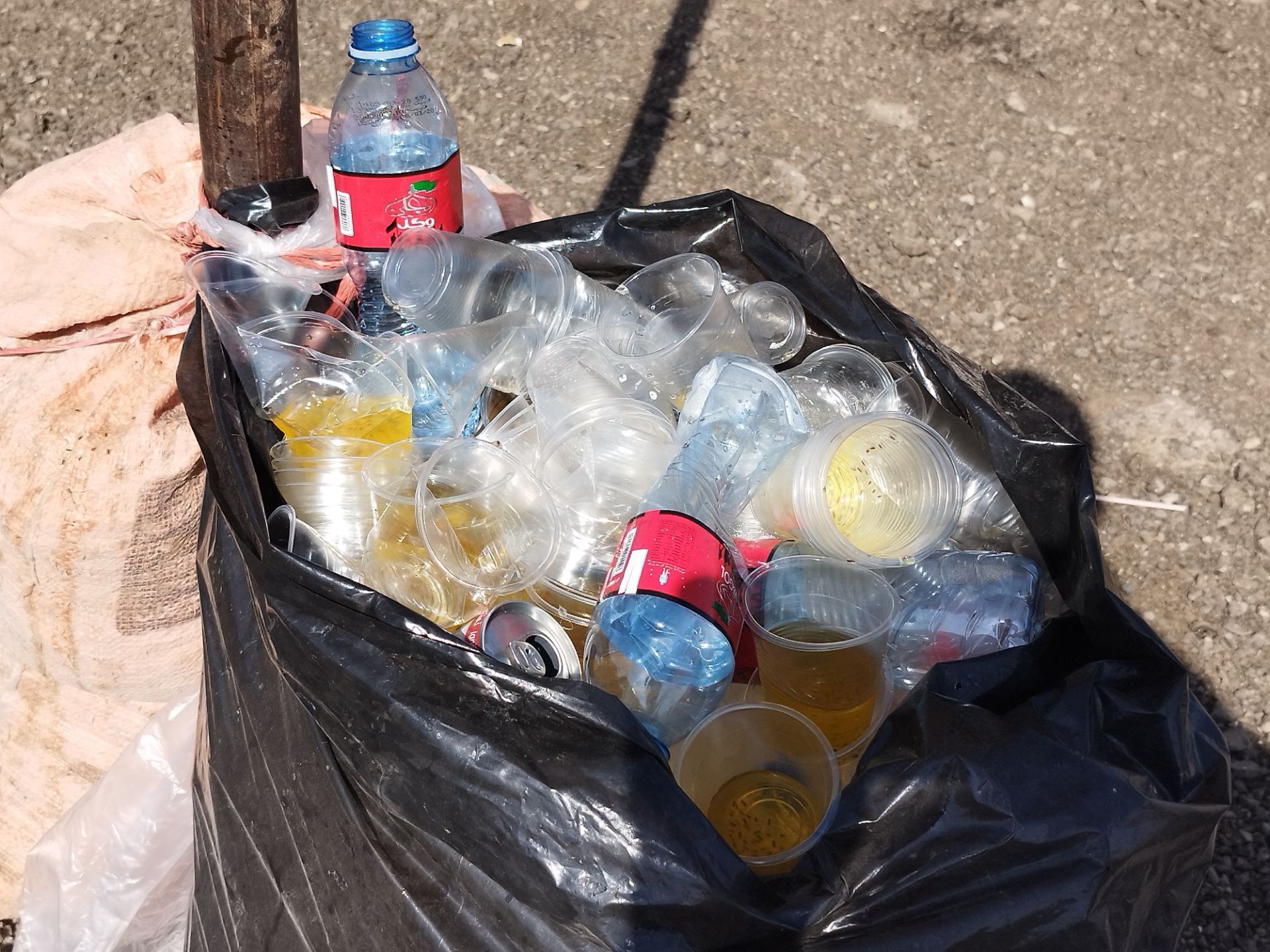 مشهدِ عزادار؛ گلایه زمین از زائران