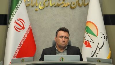 آغاز پرداخت ۵۵ همت دیگر از مطالبات گندم‌کاران کشور