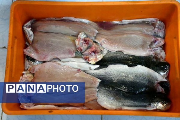 کارگاه طبخ آبزیان در دبیرستان میر فتح‌اله سید زنوزی شهر زنوز 