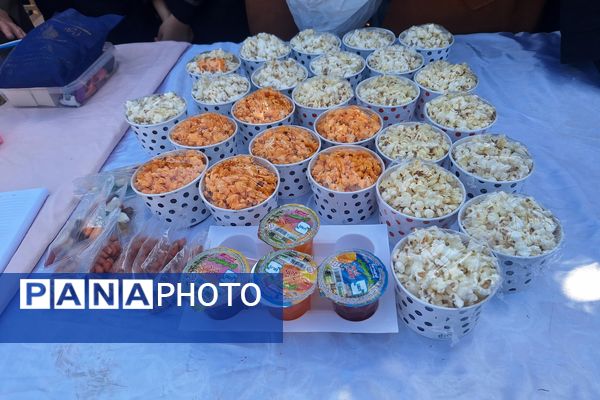 برگزاری بازارچه  کسب و کار دانش‌آموزی در آموزشگاه پویش ناحیه ۳شیراز 