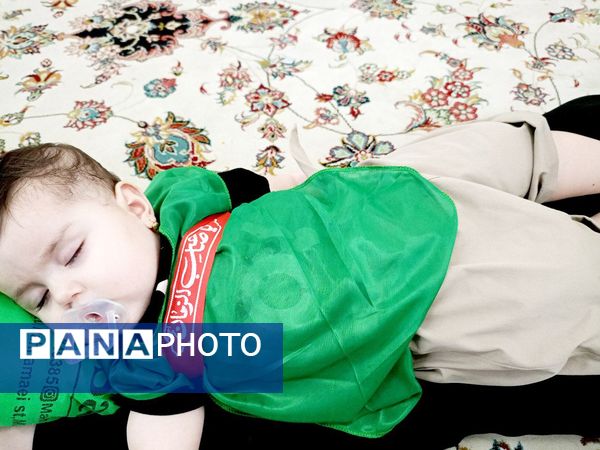 مجمع جهانی شیرخوارگان حسینی در کاشمر 