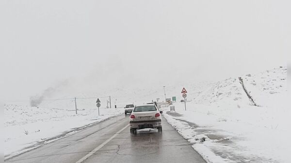 صبحی که خورشید جایش را به برف داد