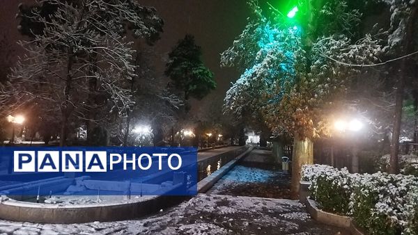 شبی برفی در نیشابور 