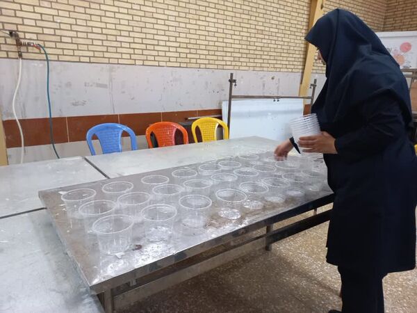 ماندگاری مکتب فاطمه زهرا (س) تا ابد 